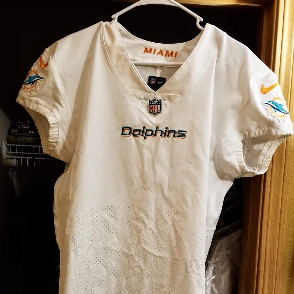 Miami Dolphin
